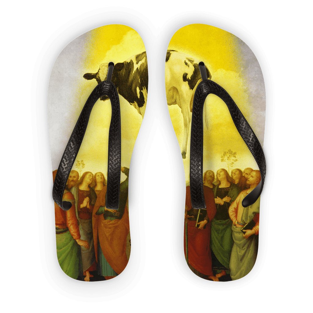 Abduction Adult Flip Flops - ItemBear.com