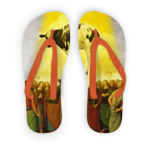 Abduction Adult Flip Flops - ItemBear.com