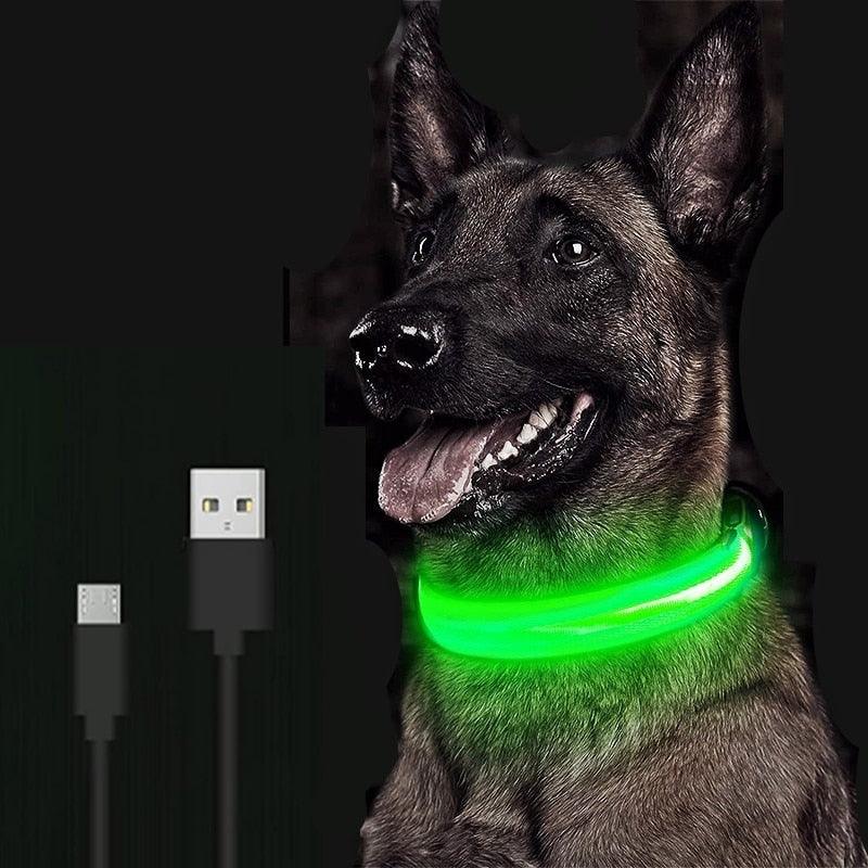 Adjustable LED Glowing Pet Collar - Premium  from ItemBear.com - Just $18! Shop now at ItemBear.com