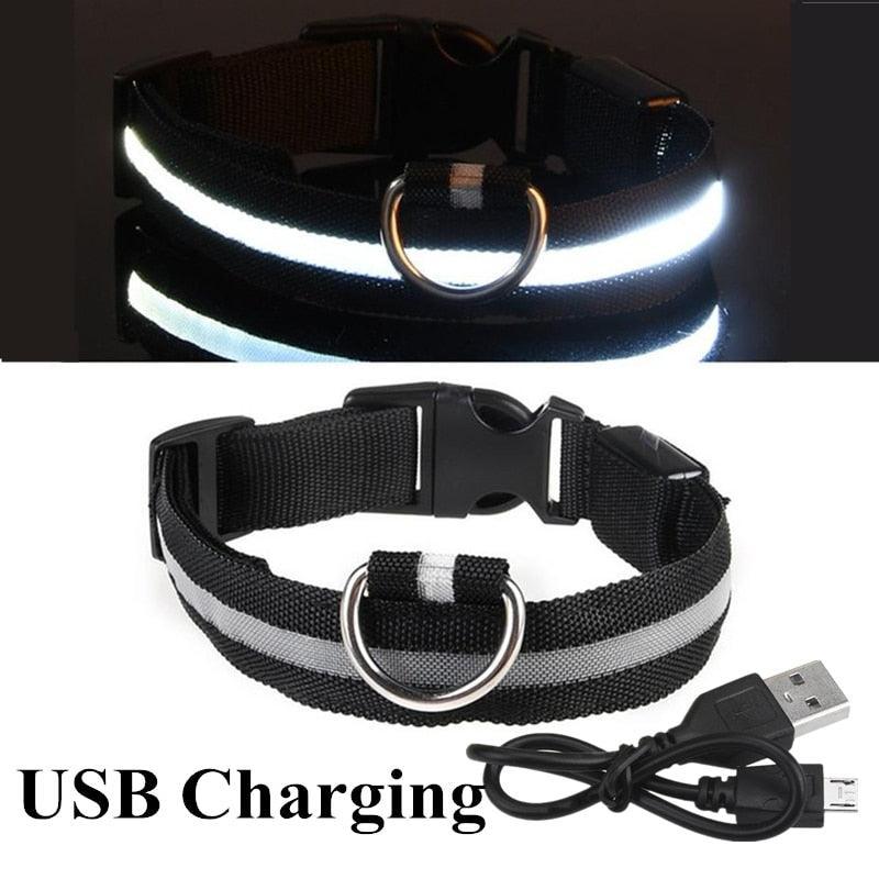 Adjustable LED Glowing Pet Collar - Premium  from ItemBear.com - Just $18! Shop now at ItemBear.com