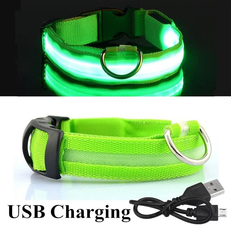 Adjustable LED Glowing Pet Collar - Premium  from ItemBear.com - Just $18! Shop now at ItemBear.com