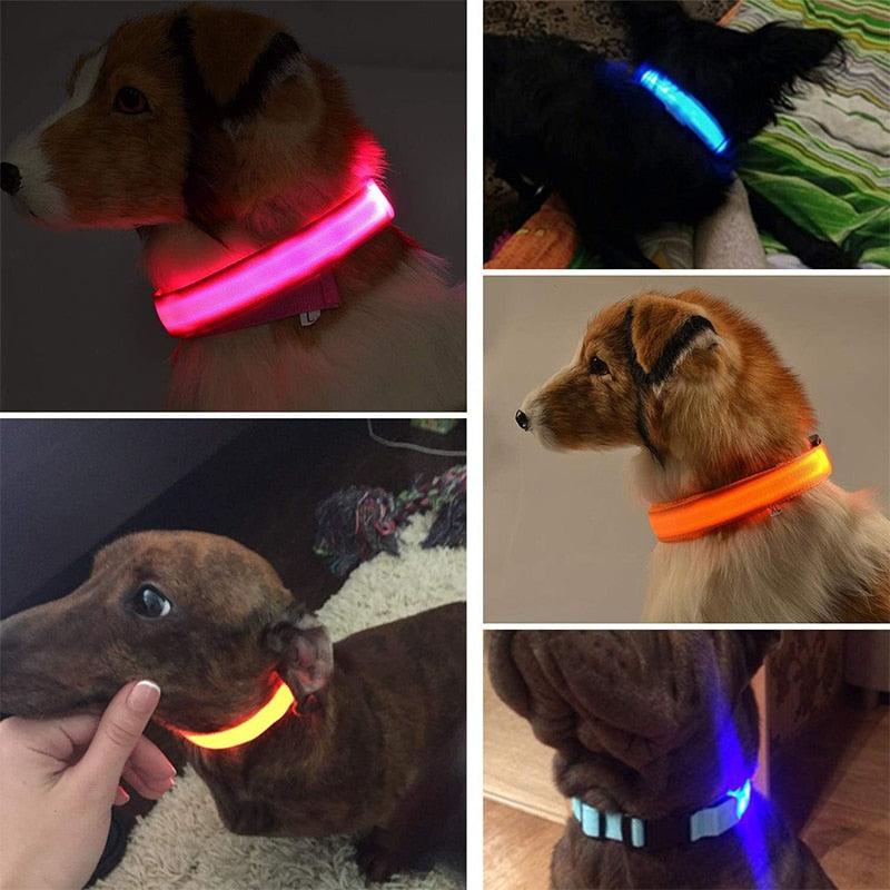 Adjustable LED Glowing Pet Collar - Premium  from ItemBear.com - Just $18! Shop now at ItemBear.com