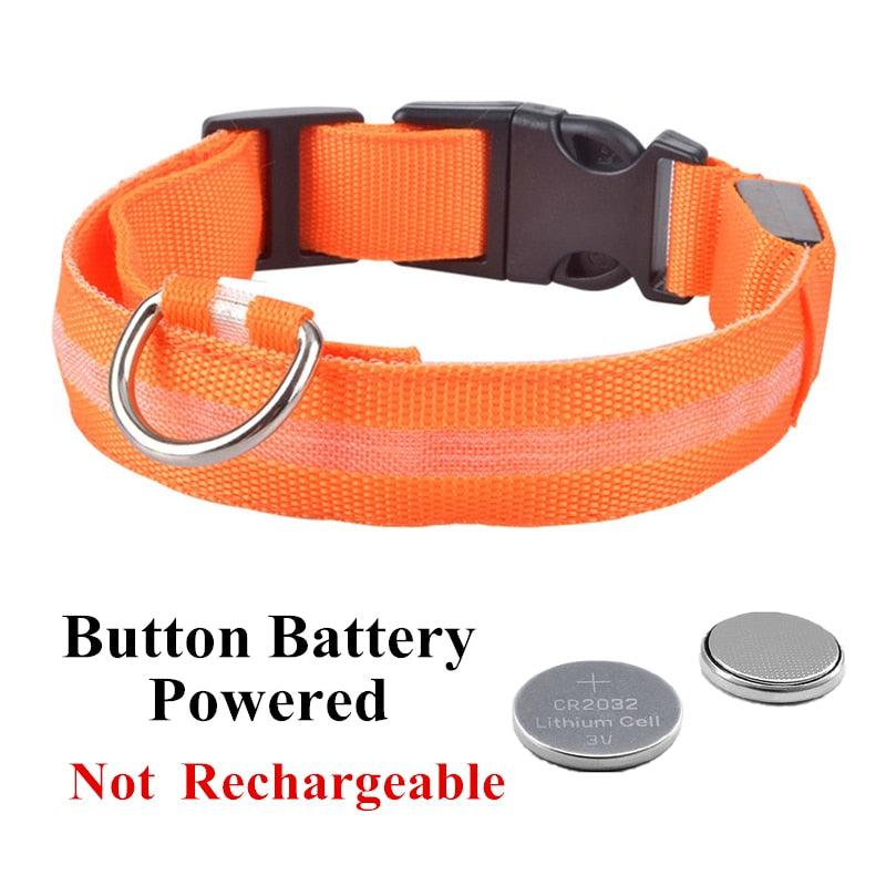 Adjustable LED Glowing Pet Collar - Premium  from ItemBear.com - Just $18! Shop now at ItemBear.com