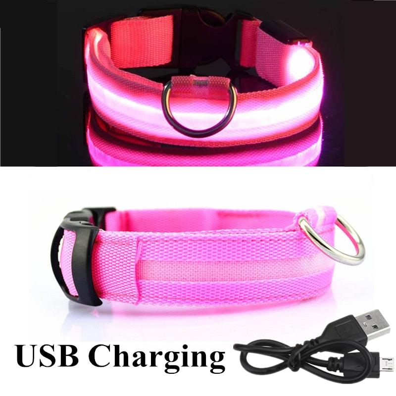 Adjustable LED Glowing Pet Collar - Premium  from ItemBear.com - Just $18! Shop now at ItemBear.com