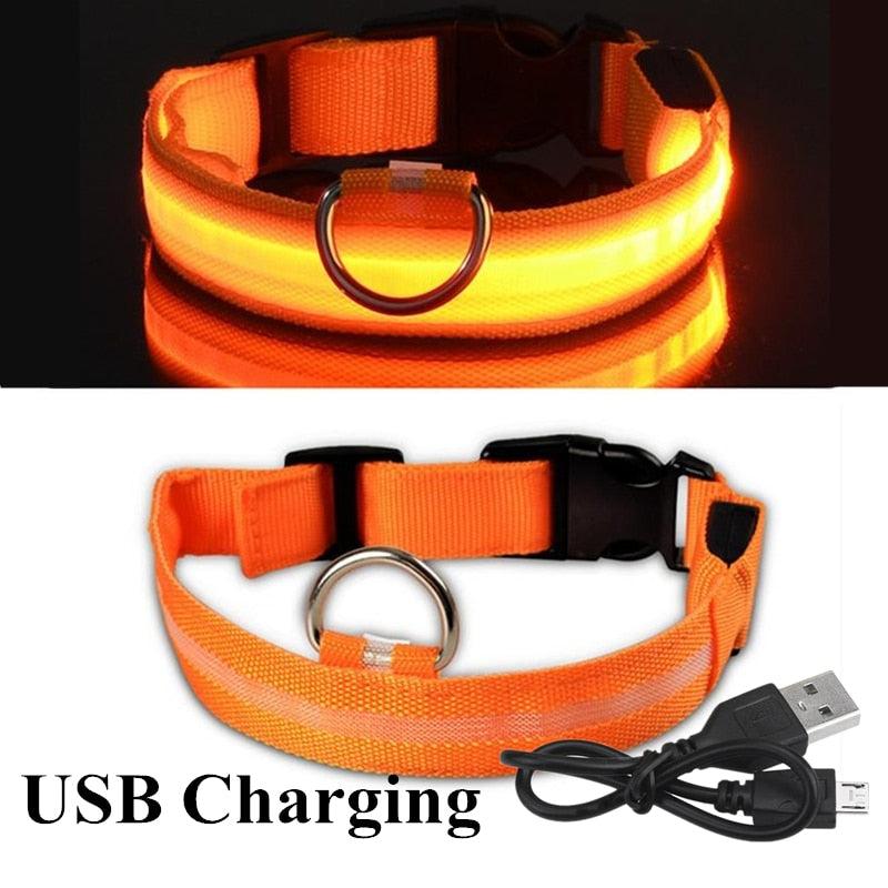 Adjustable LED Glowing Pet Collar - Premium  from ItemBear.com - Just $18! Shop now at ItemBear.com