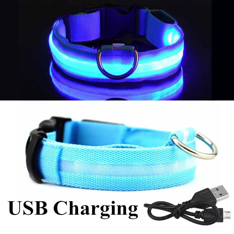 Adjustable LED Glowing Pet Collar - Premium  from ItemBear.com - Just $18! Shop now at ItemBear.com