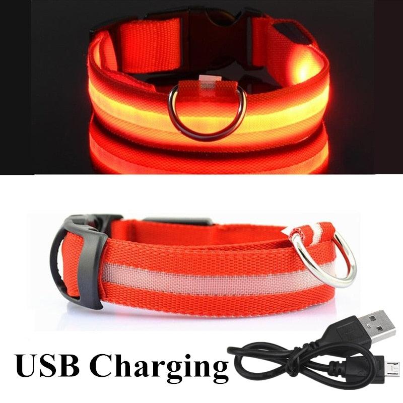 Adjustable LED Glowing Pet Collar - Premium  from ItemBear.com - Just $18! Shop now at ItemBear.com