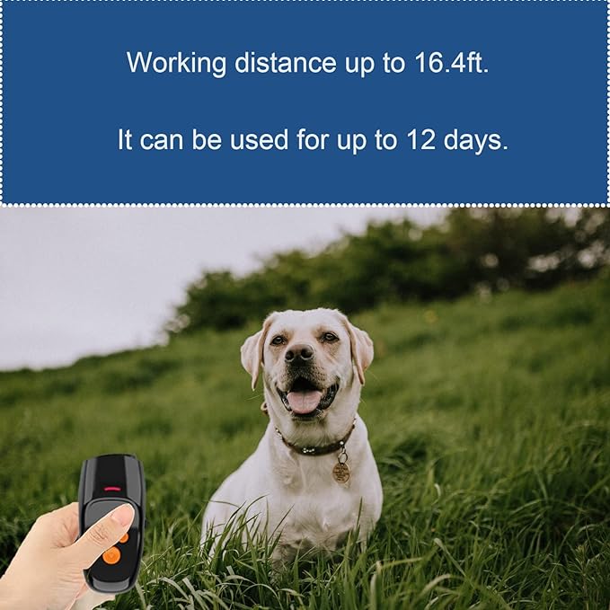 Barking Control Devices - ItemBear.com