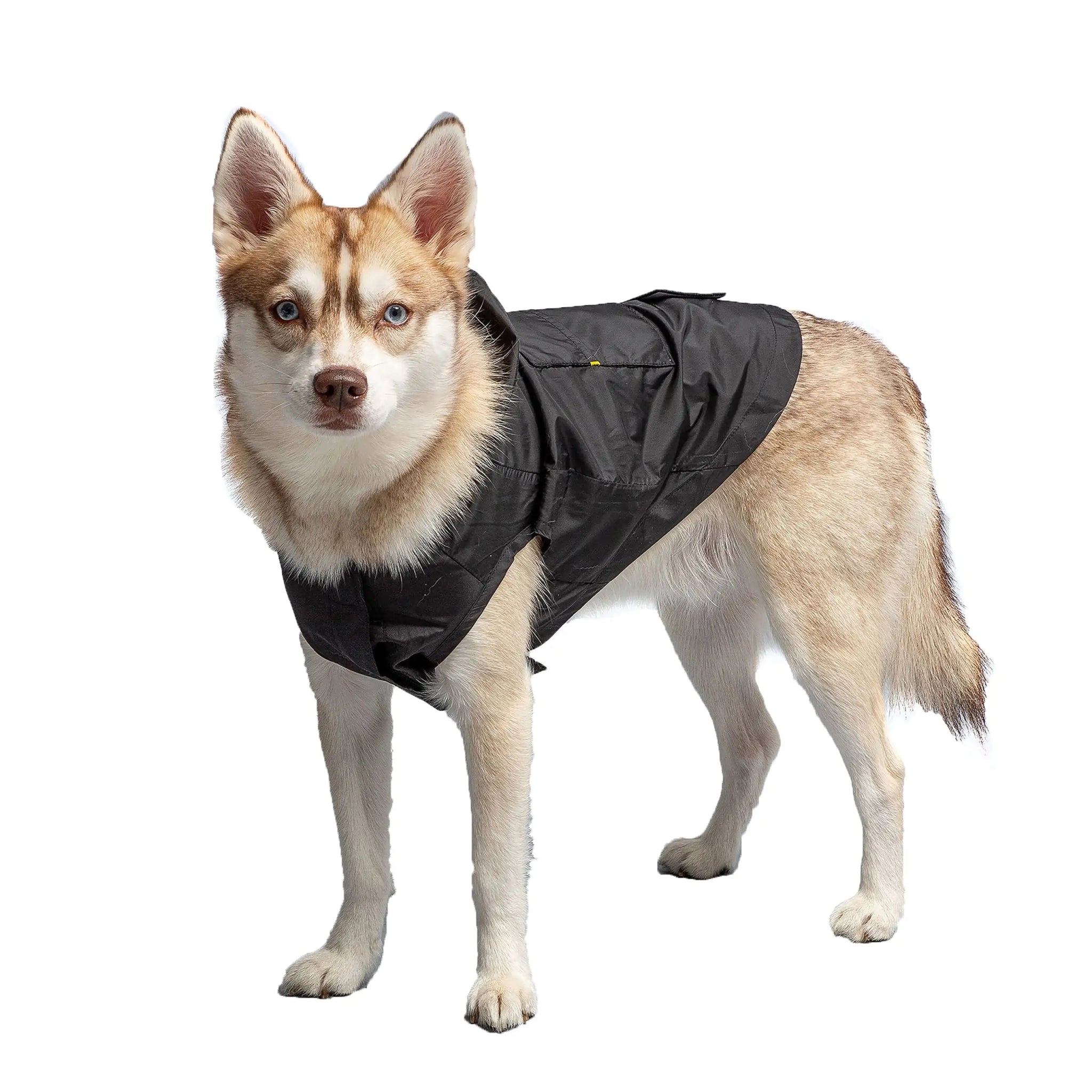 Black Packable Dog Raincoat - ItemBear.com