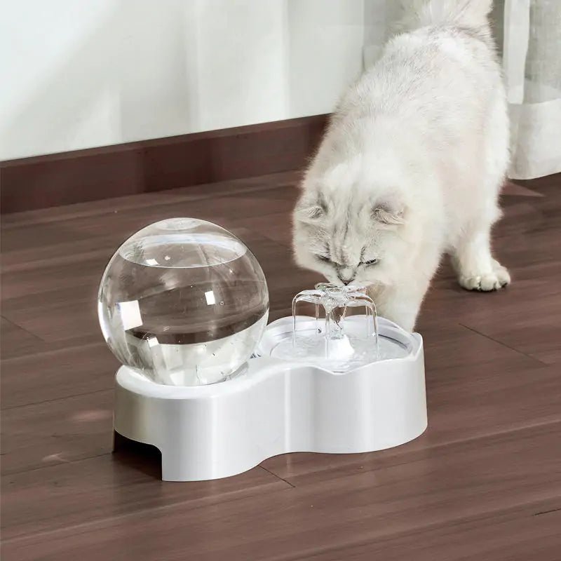 Cats and Dogs Bowl - ItemBear.com