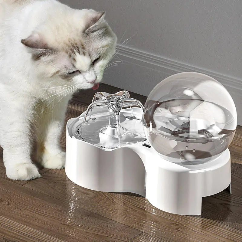 Cats and Dogs Bowl - ItemBear.com