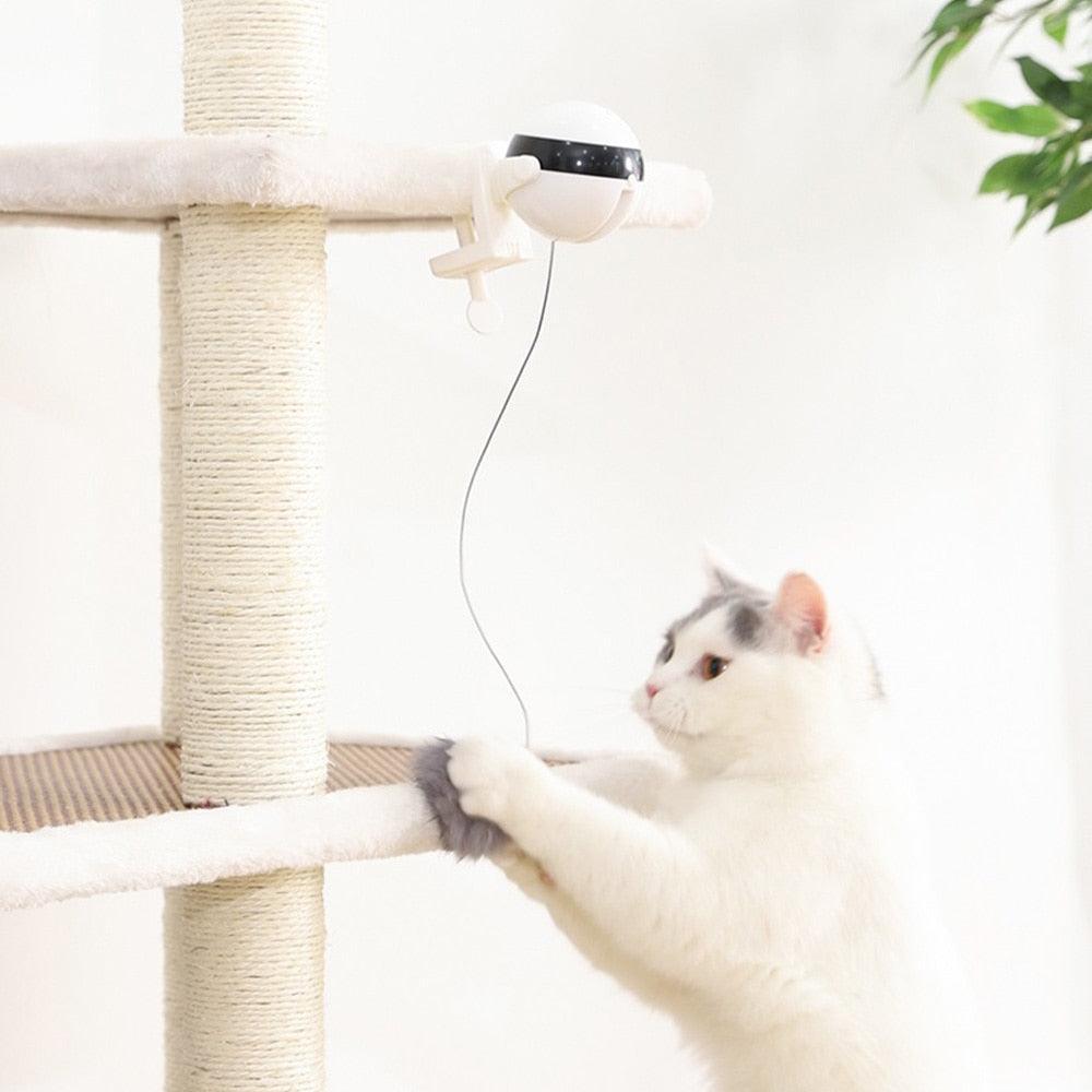 Funny Electric Cat Toy Lifting Ball Cats Teaser Toy Electric Flutter Rotating Cat Toys Electronic Motion Pet Toys Interactive - ItemBear.com