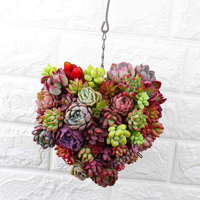 Hanging Succulent Planter - ItemBear.com