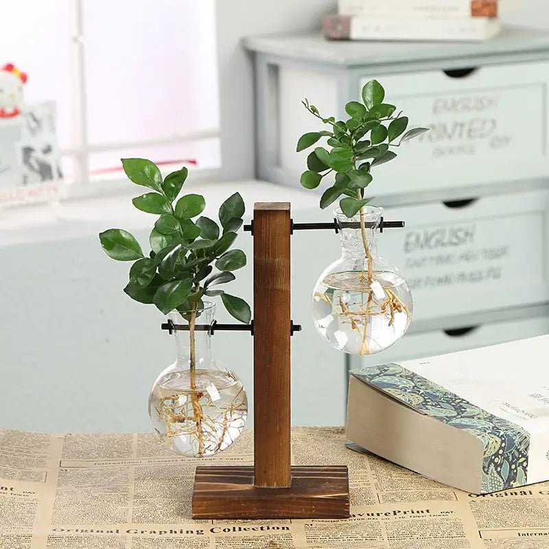 Hydroponic Transparent Plant Vases - ItemBear.com