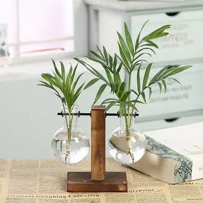 Hydroponic Transparent Plant Vases - ItemBear.com