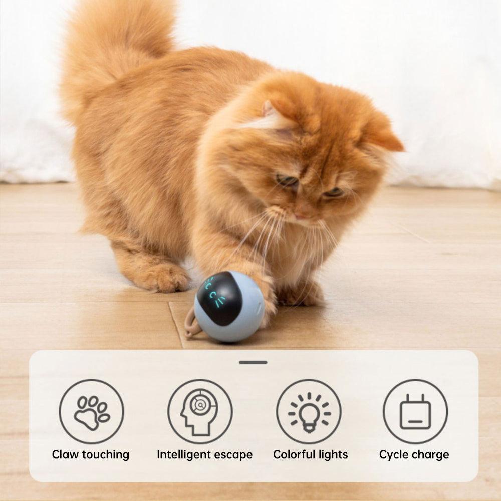 Kitten Electronic Ball - ItemBear.com