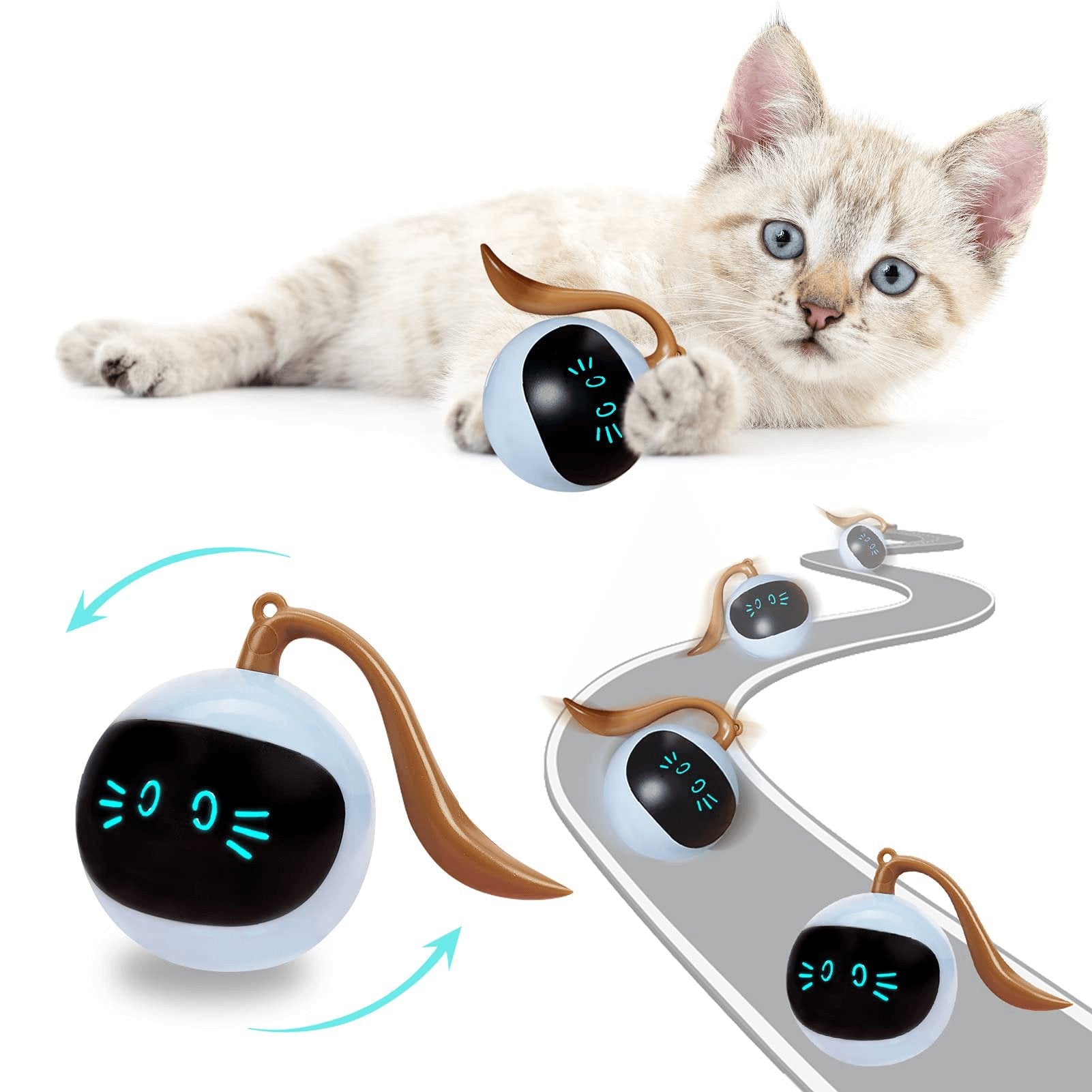 Kitten Electronic Ball - ItemBear.com