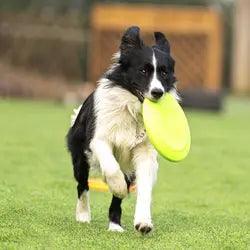 OnlinePetToys™- Dog rubber flying disc - ItemBear.com