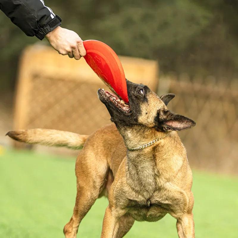 OnlinePetToys™- Dog rubber flying disc - ItemBear.com