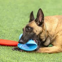 OnlinePetToys™- Dog rubber flying disc - ItemBear.com