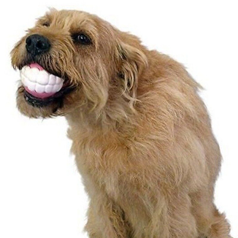 Pet Ball Teeth Silicon Chew Toys for Large Breeds - ItemBear.com