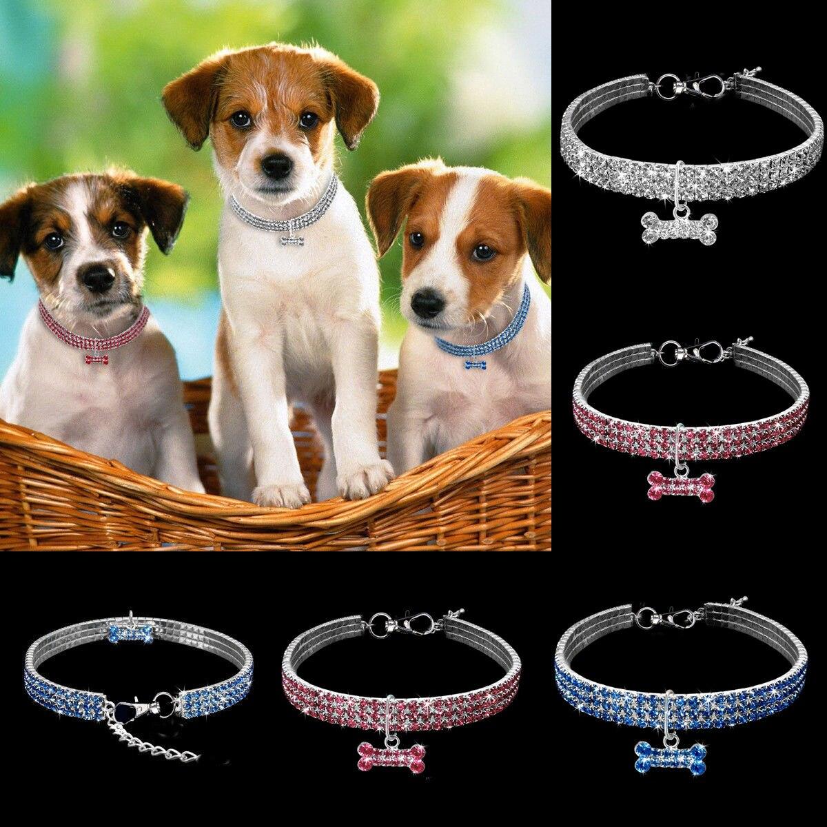 Pet Collar - ItemBear.com