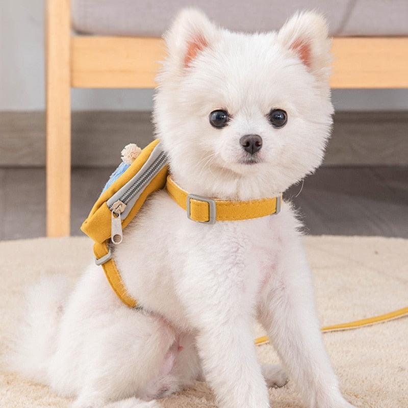 Pet Cute Dog Cat Harness with backpack Medium small Dog Lead Walking Running training Leashes Dogs Chest Strap star pattern Vest - ItemBear.com