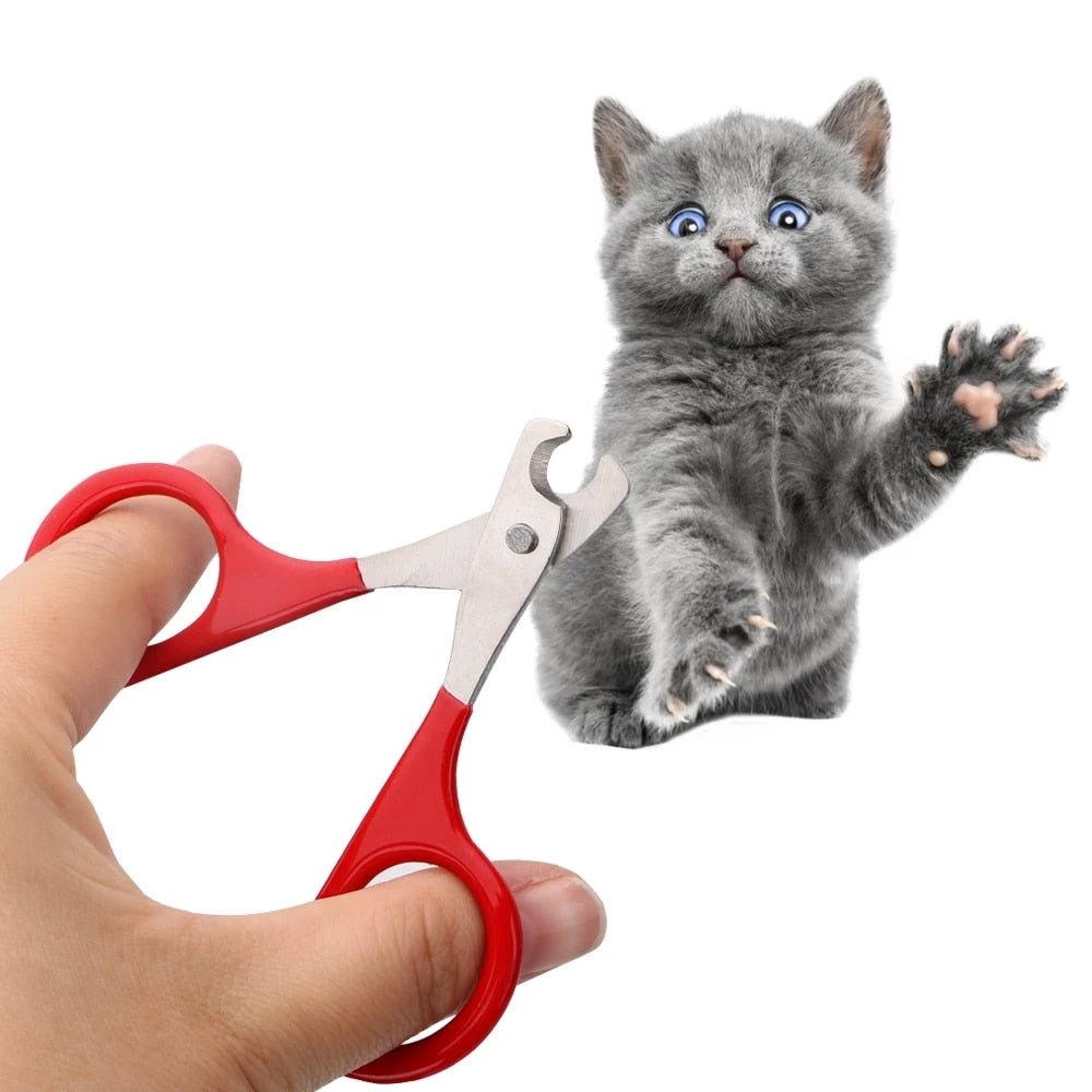 Pet Nail Clippers - ItemBear.com