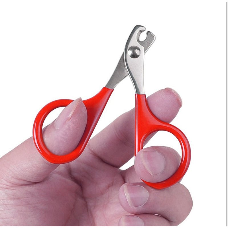 Pet Nail Clippers - ItemBear.com