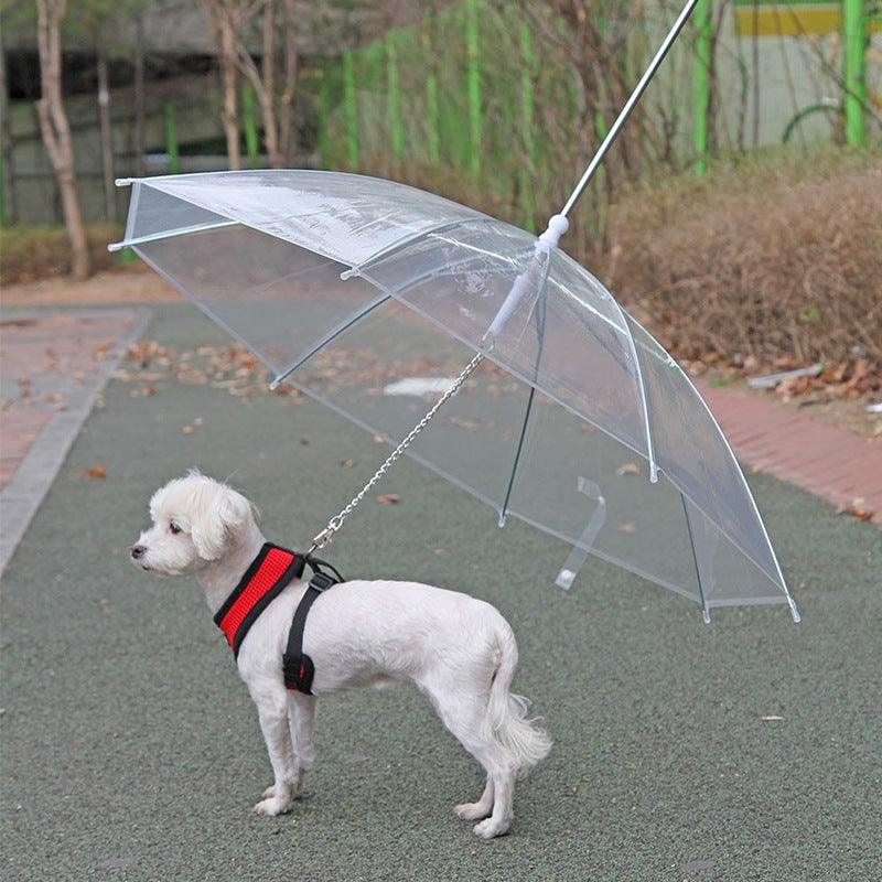 Pet Umbrella Leash - ItemBear.com