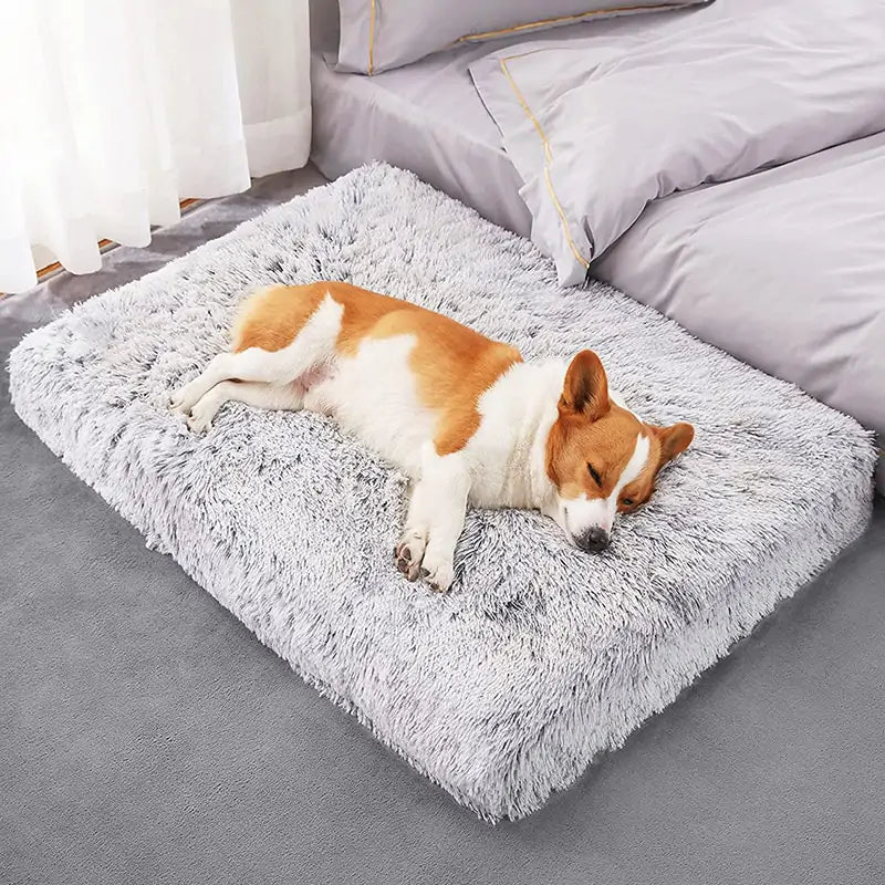 Plush Washable Dog Bed - ItemBear.com