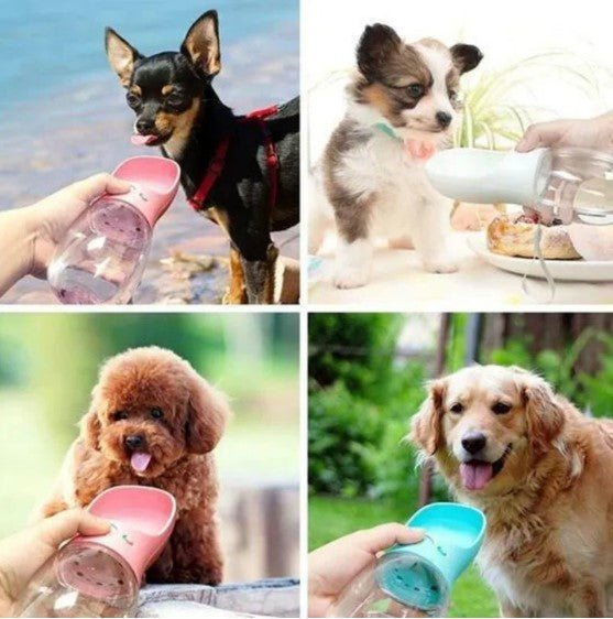 Portable Pet Drinking Fountain - ItemBear.com