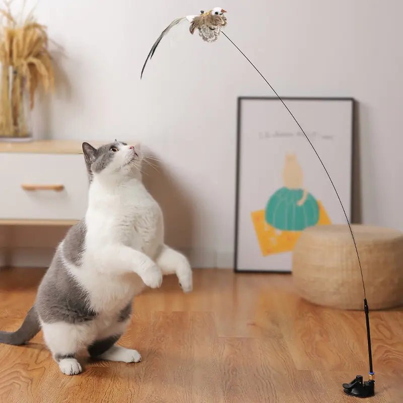 Simulation Bird Interactive Cat Toy - ItemBear.com