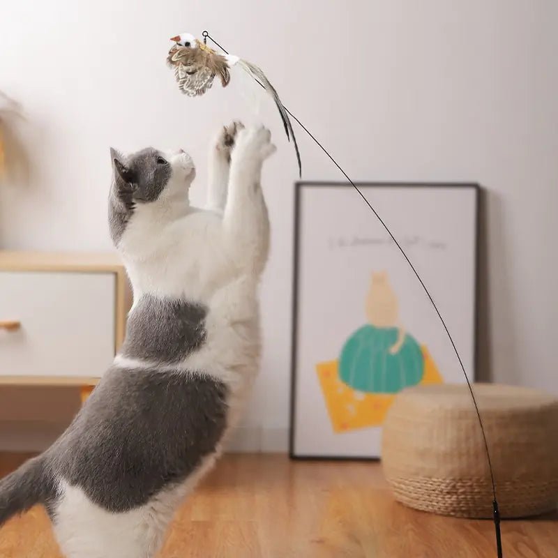 Simulation Bird Interactive Cat Toy - ItemBear.com