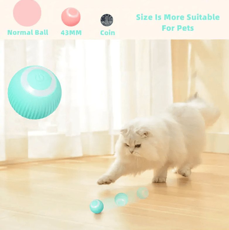 Smart Cat Ball Toys USB Charging - ItemBear.com