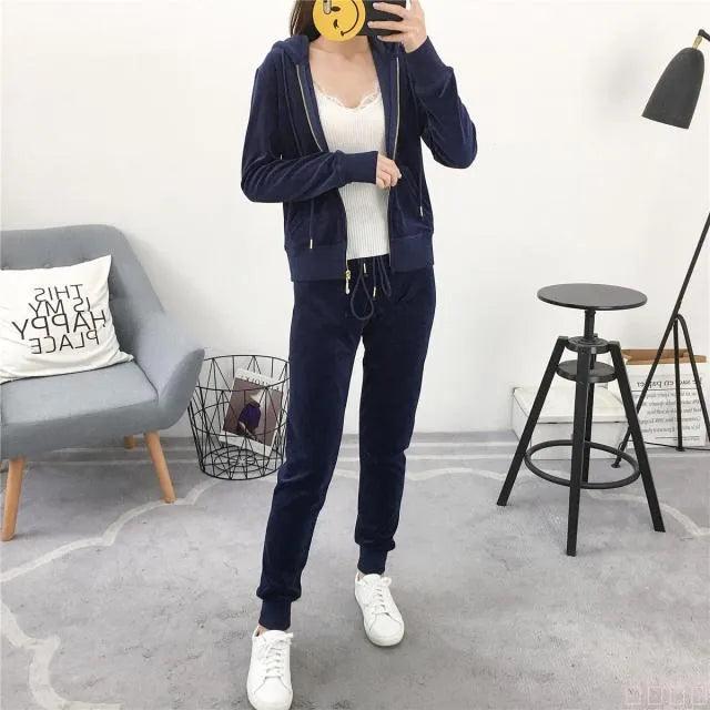 Spring/Fall Women's Brand Velvet Fabric Tracksuits Velour Suit Women Track Suit Hoodies And Pants fat sister sportswear - ItemBear.com