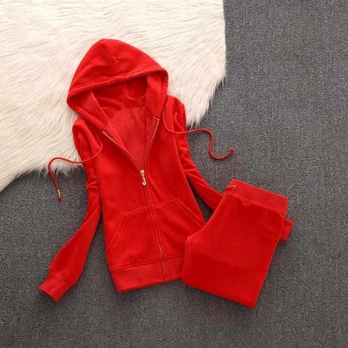 Spring/Fall Women's Brand Velvet Fabric Tracksuits Velour Suit Women Track Suit Hoodies And Pants fat sister sportswear - ItemBear.com