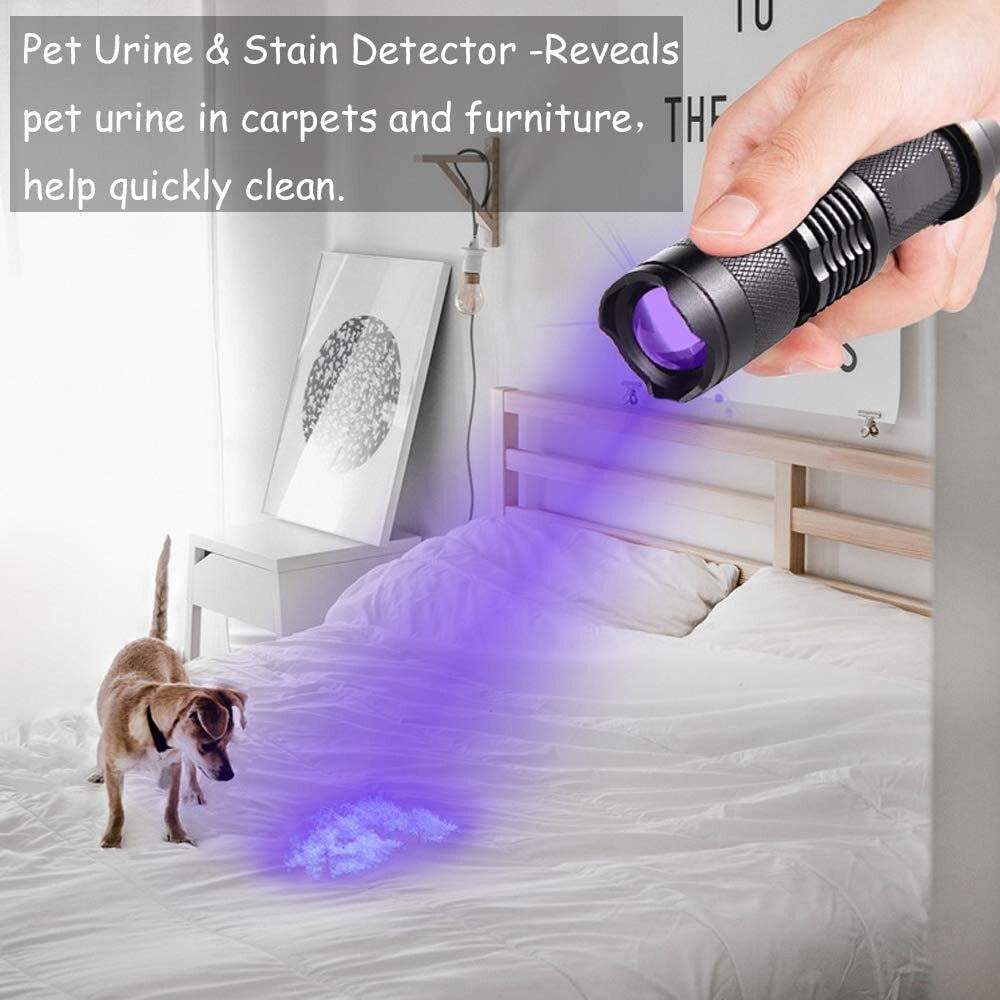 UV LED Flashlight - ItemBear.com