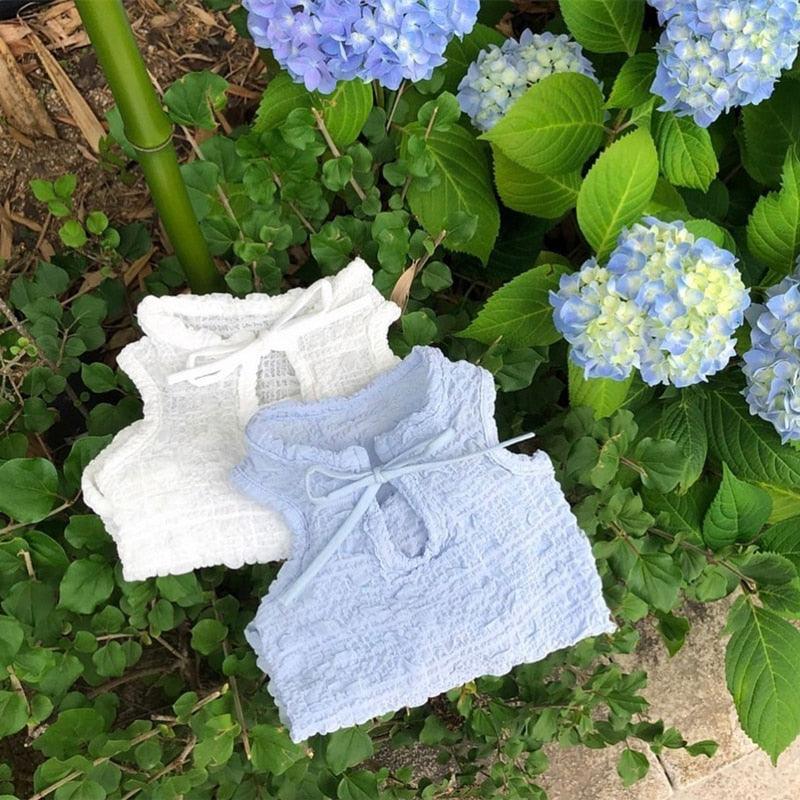 White Dog Clothes Teddy Bomei Solid Color Suspenders Softer Than Bears Summer Clothes Puppy Thin Bottoming Shirt Pet Vest - ItemBear.com